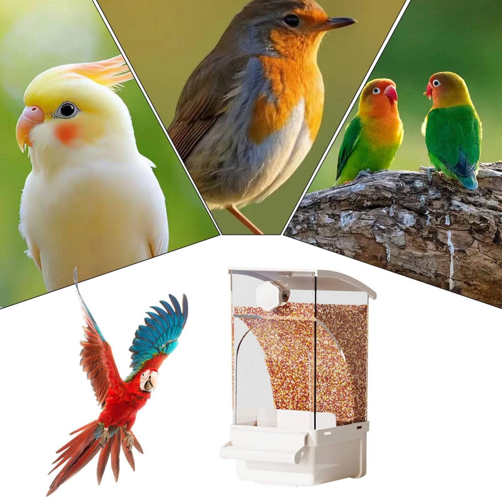 Pet Supplies In - Автоматическая кормушка для птиц с функцией