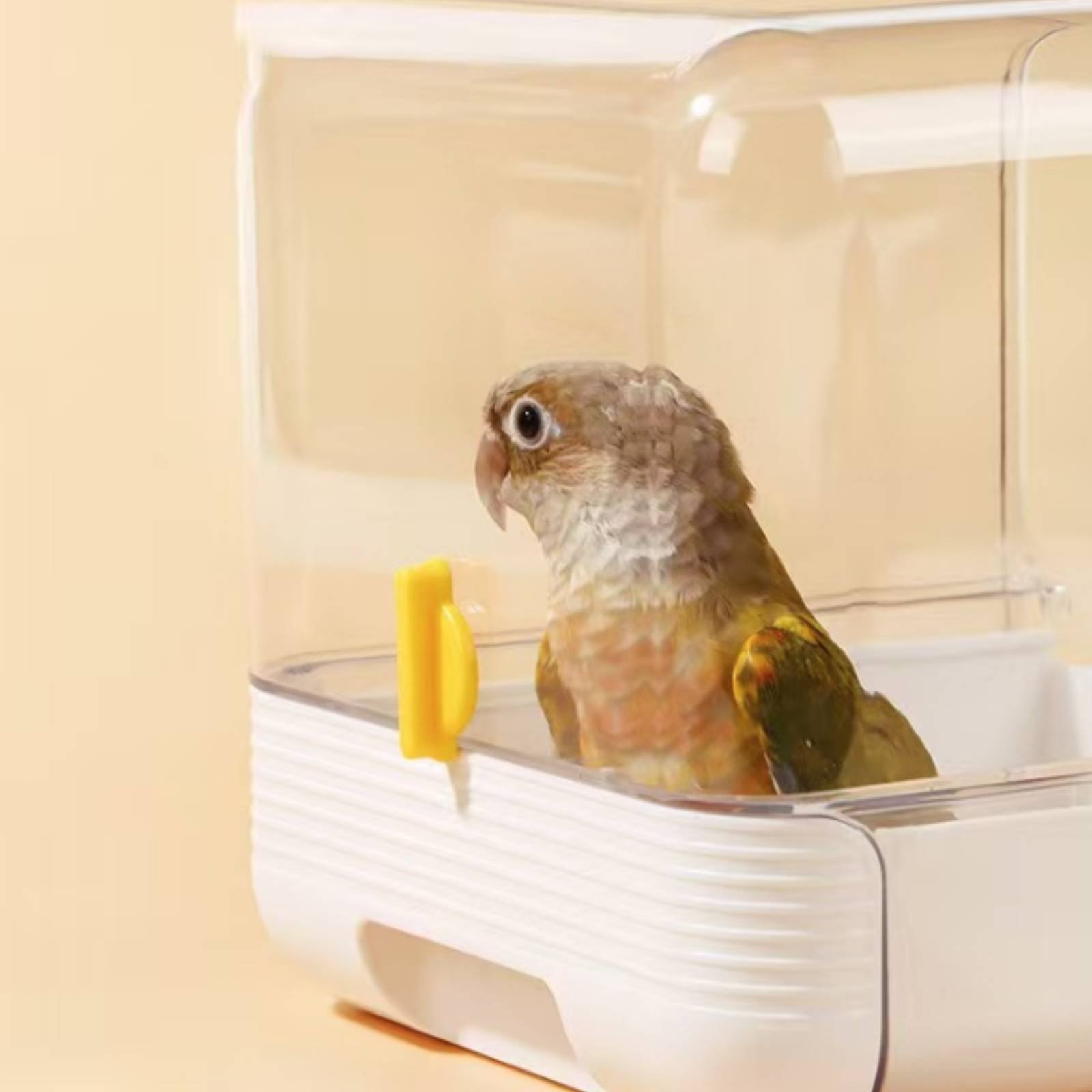 Многофункциональная ванночка д – обзор и цена Pet Supplies In